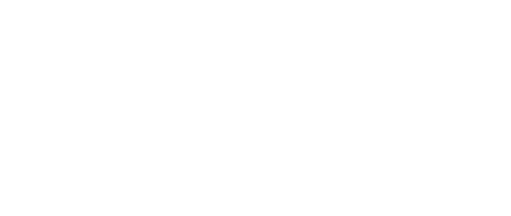 Hibiscus has a bright, captivating energy, reminding us to embrace new things.