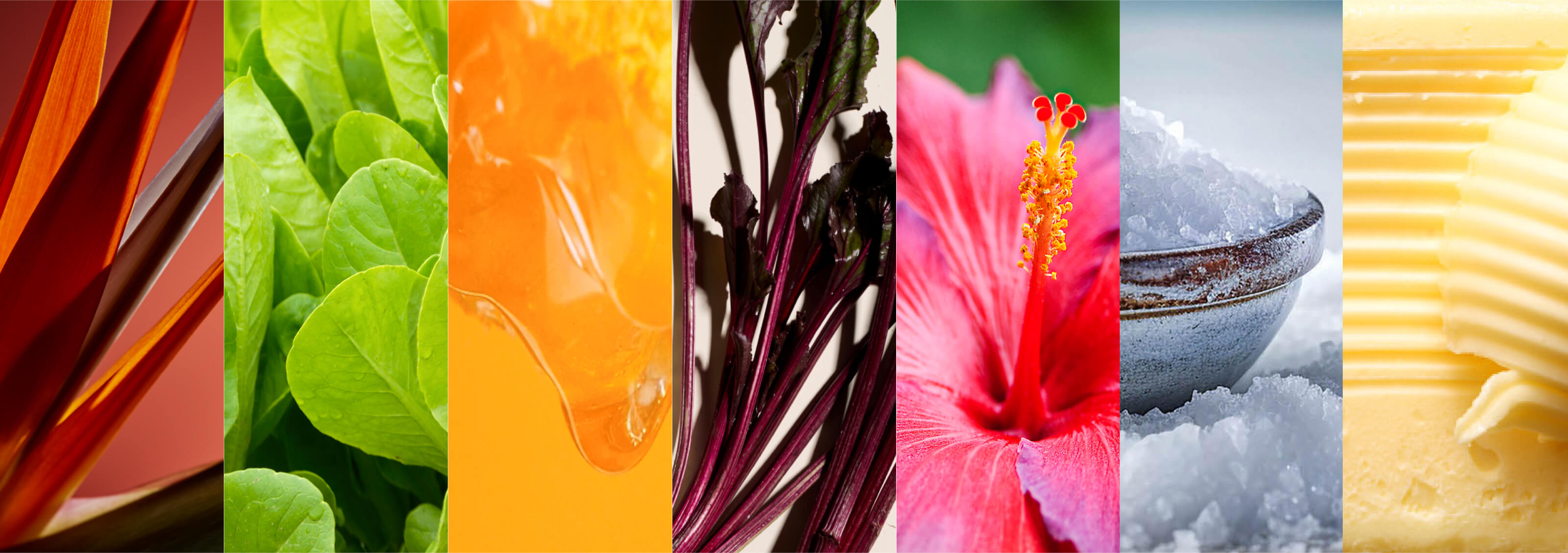 An image showing the progression of Colours of the Year, from left to right, represented by the Bird of Paradise flower, greens, honey, beetroots, a hibiscus flower, blue salt and butter.
