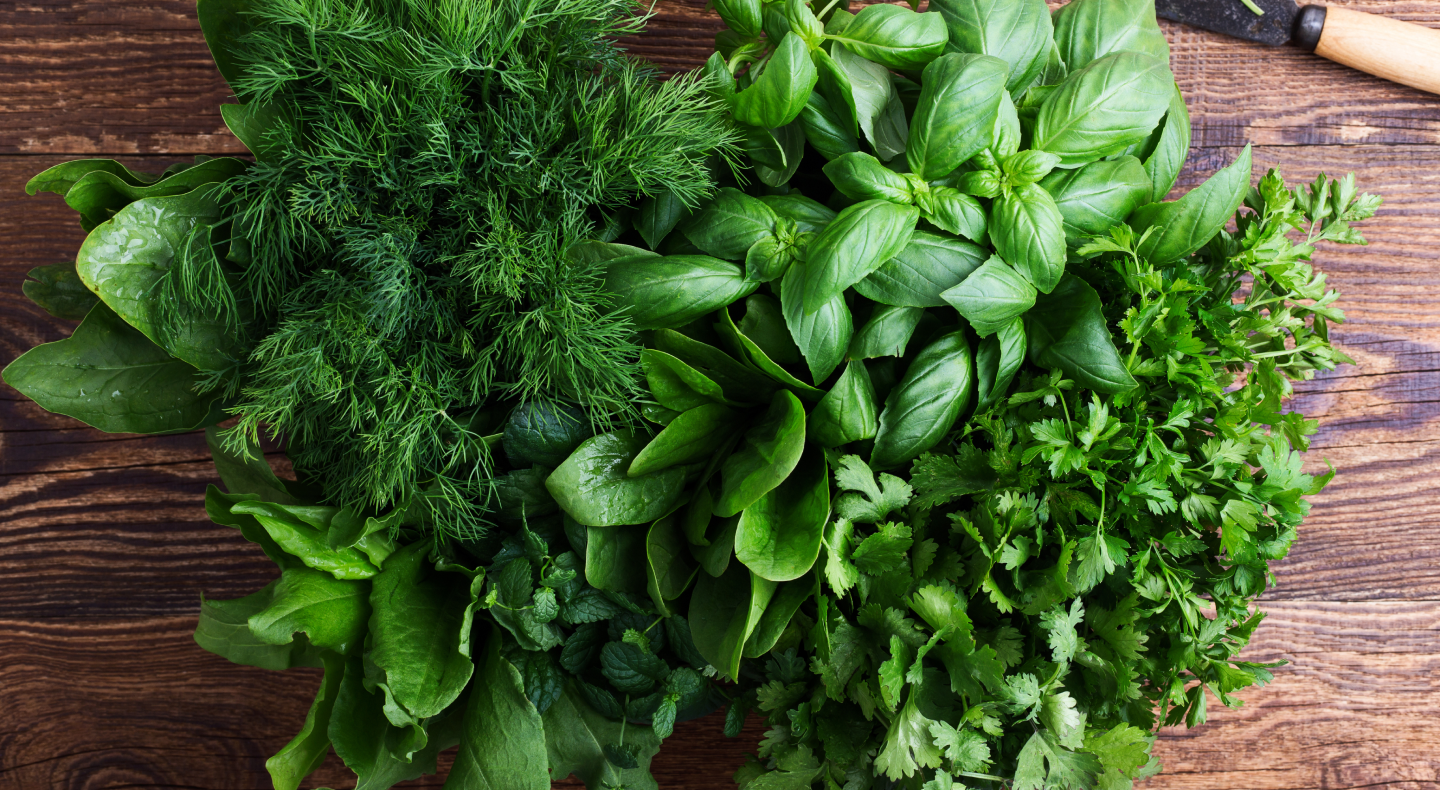 Bundle of assorted fresh herbs
