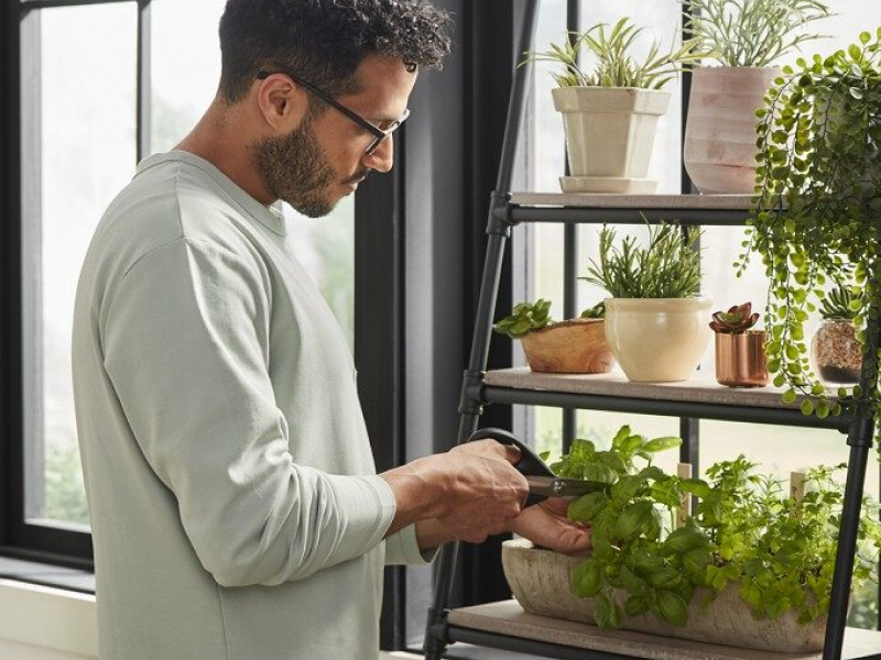 Man tending to his indoor herb garden