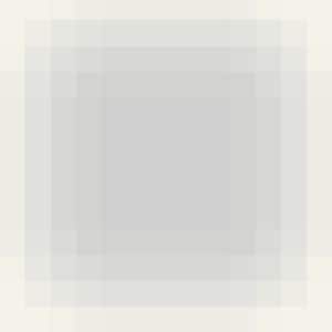 Polished Stainless Steel