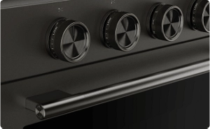 A close-up on the handle and knobs of a Black Ore range.