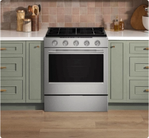 A Stainless Steel range in a contemporary kitchen.
